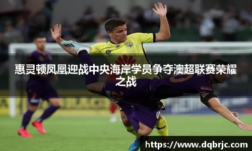 惠灵顿凤凰迎战中央海岸学员争夺澳超联赛荣耀之战